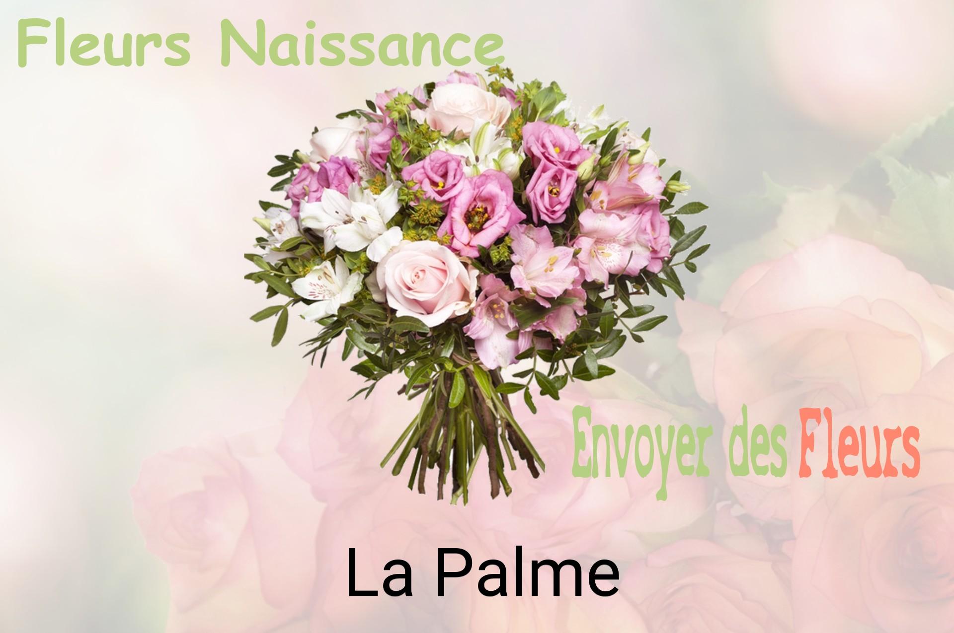 Bouquet de fleurs de naissance livré à La Palme